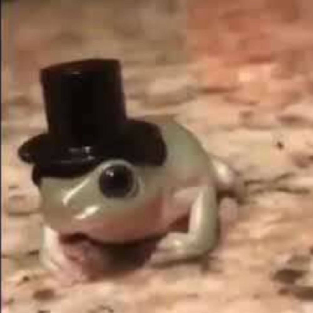 Meet your Posher, Lydia